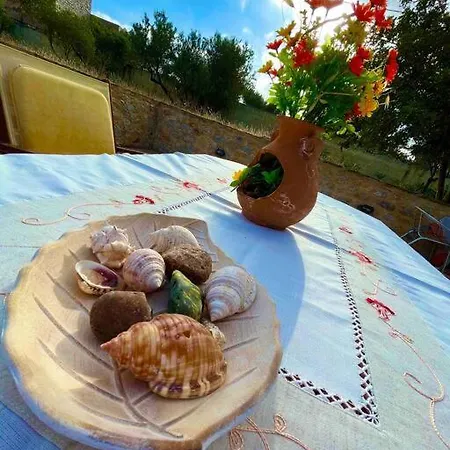 The Olive Tower In Mani Ferienhaus Ano Gardenitsa