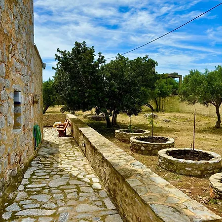 The Olive Tower In Mani