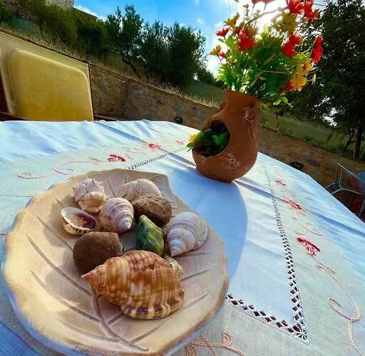 The Olive Tower In Mani Ferienhaus Ano Gardenitsa